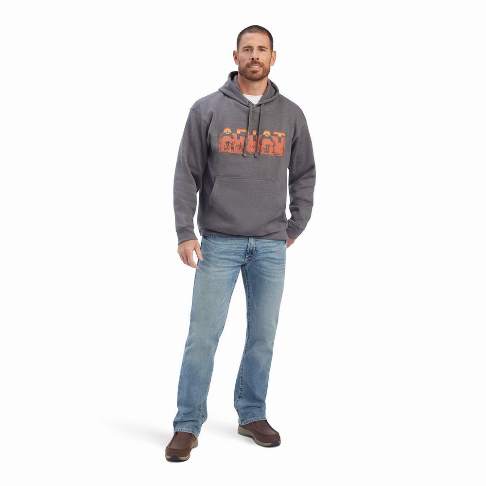 Men's Ariat Desert Roam Hoodie Grey | FLSW-47201