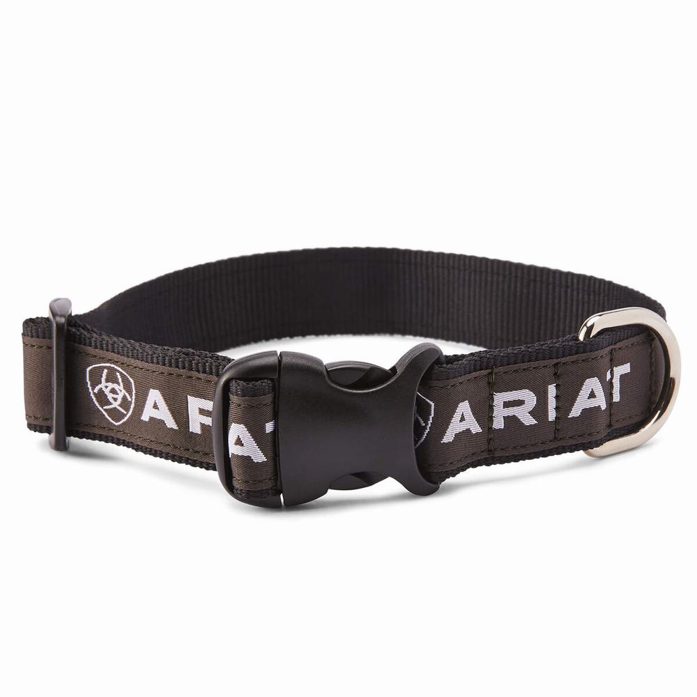 Men\'s Ariat Dog Collar Accessories Black / Grey | UDJE-73806