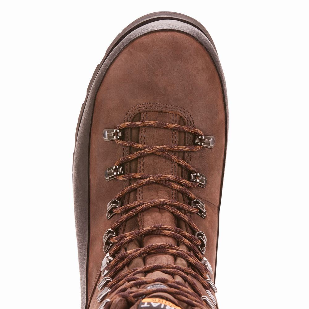 Men's Ariat Linesman Ridge 10