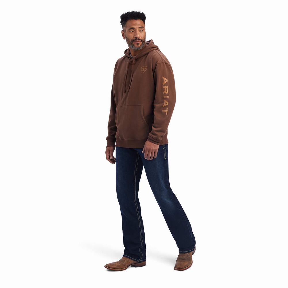 Men's Ariat Logo Hoodie Brown | ZTWJ-24571