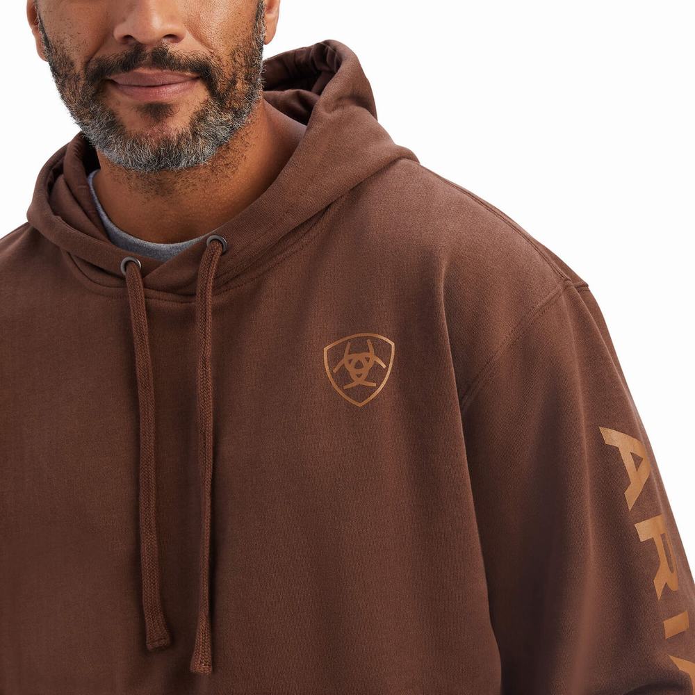 Men's Ariat Logo Hoodie Brown | ZTWJ-24571