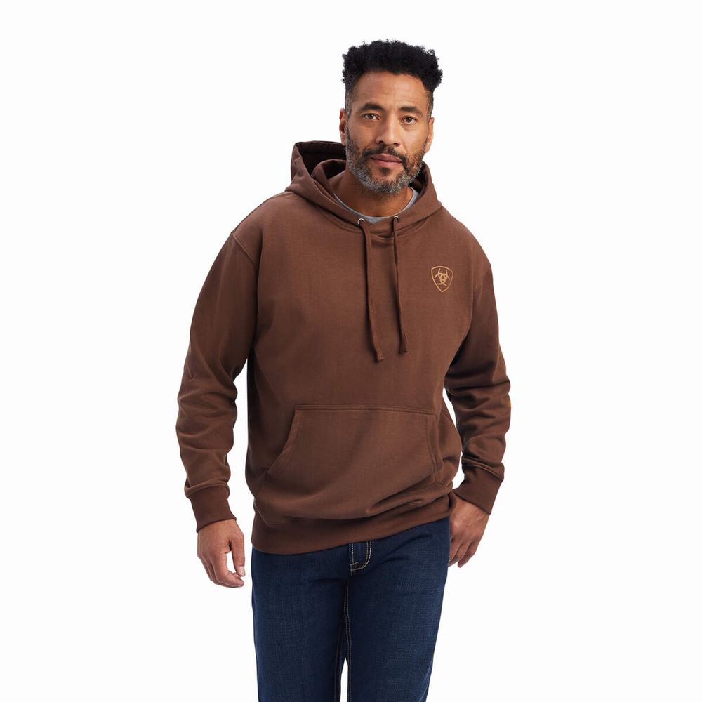 Men\'s Ariat Logo Hoodie Brown | ZTWJ-24571