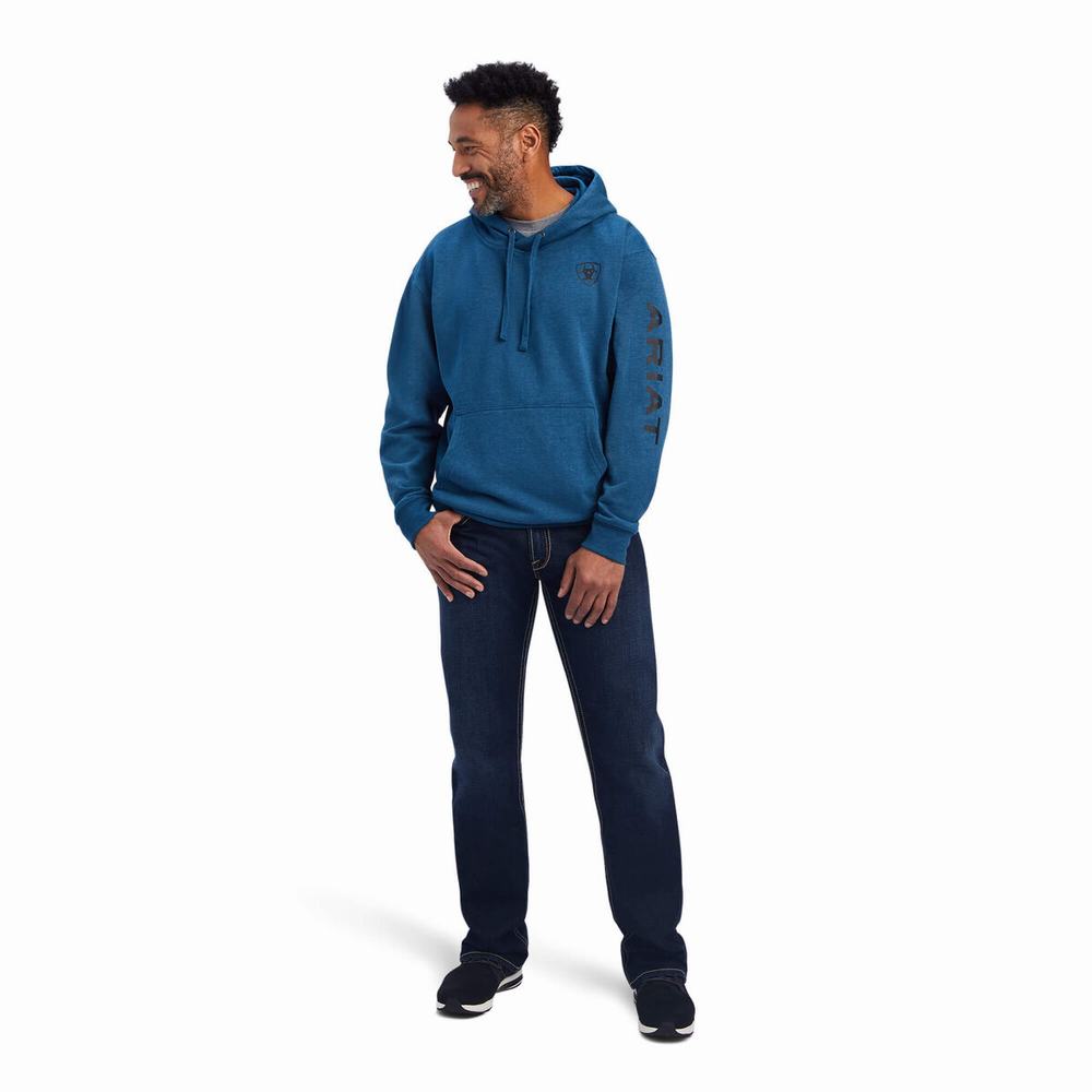 Men's Ariat Logo Hoodie Navy | CVSO-17526