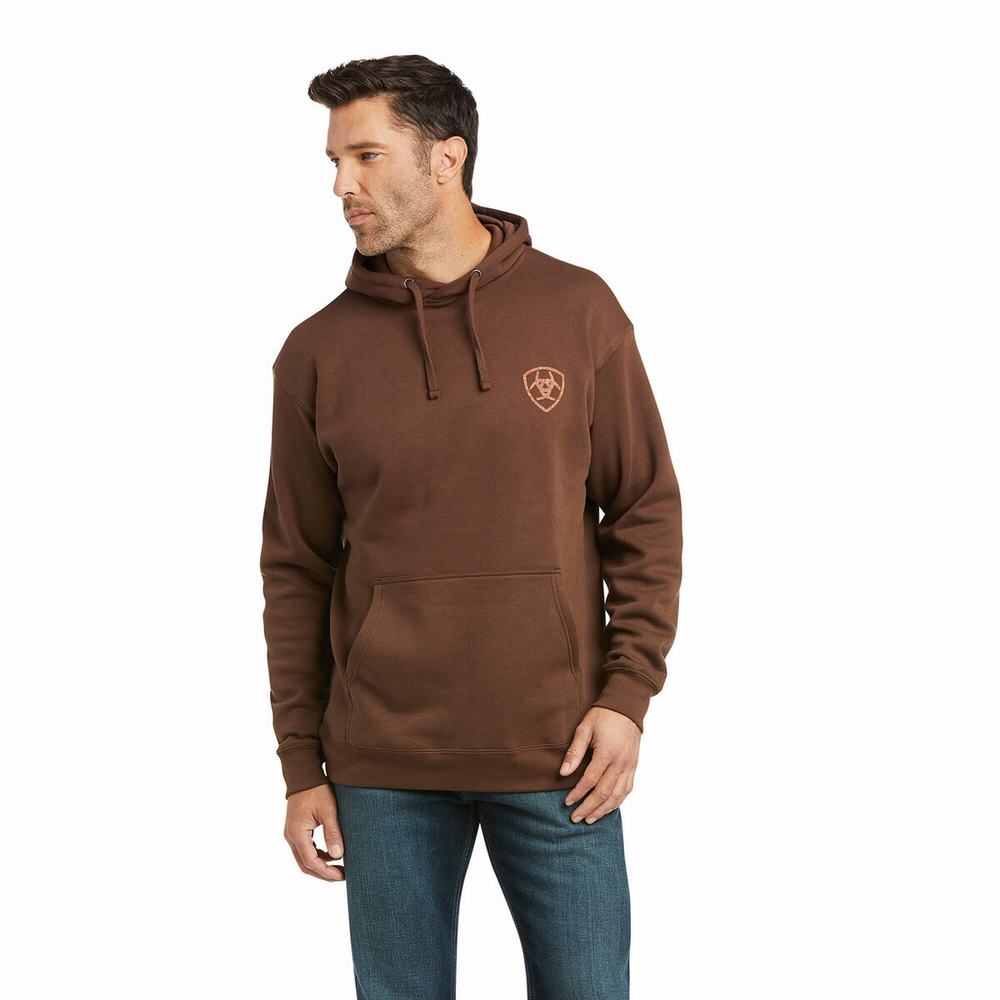 Men's Ariat Patriot 2.0 Hoodie Brown / Brown | DGBZ-05817