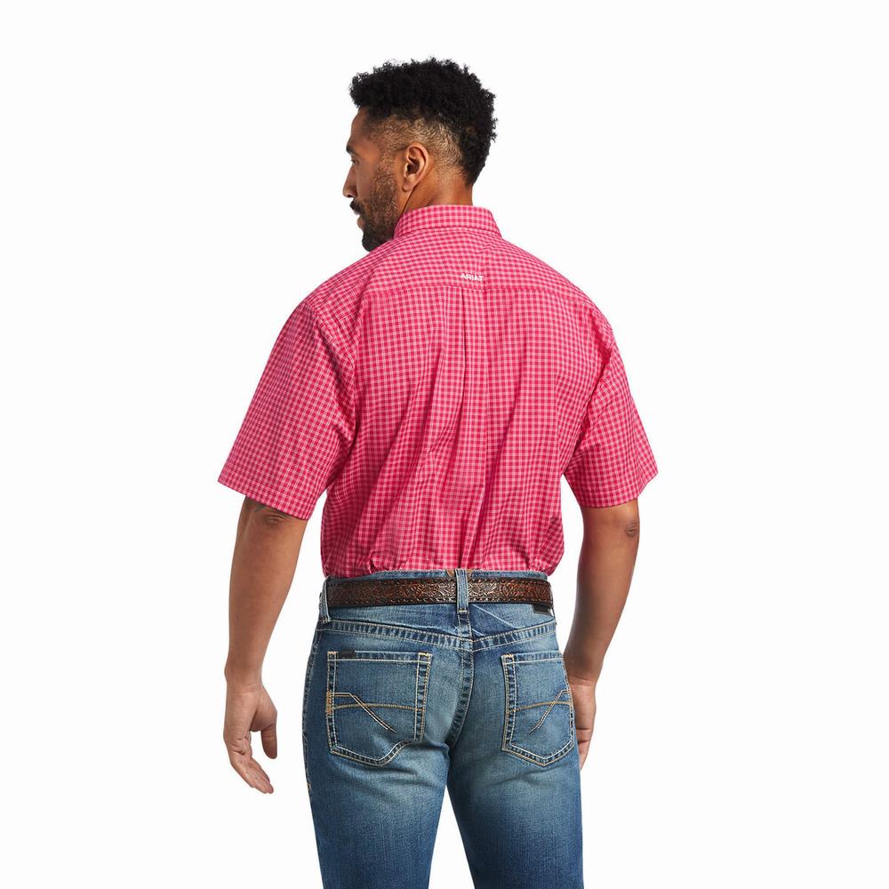 Men's Ariat Pro Series Miles Classic Fit Shirts Light Rose | ERBX-69745