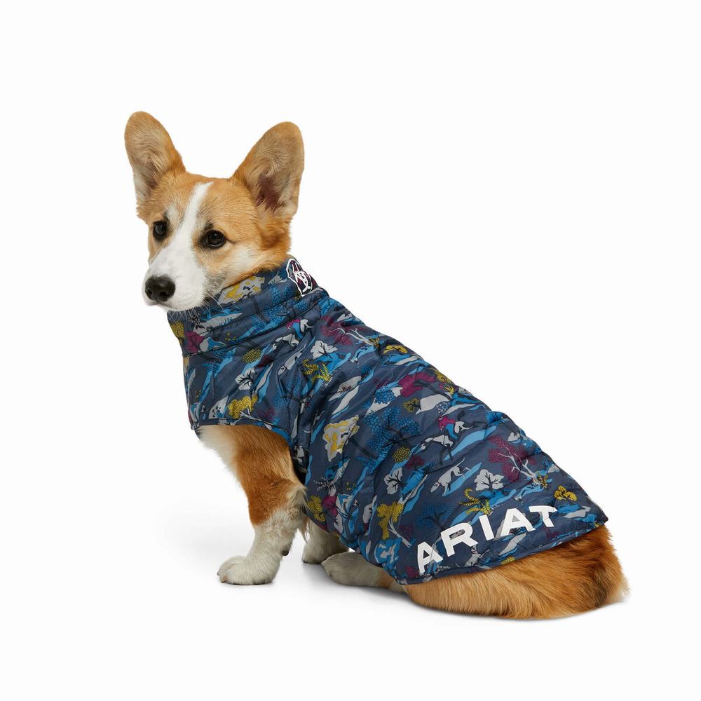 Men's Ariat Pup Puffer Accessories Multicolor | PXQU-69128