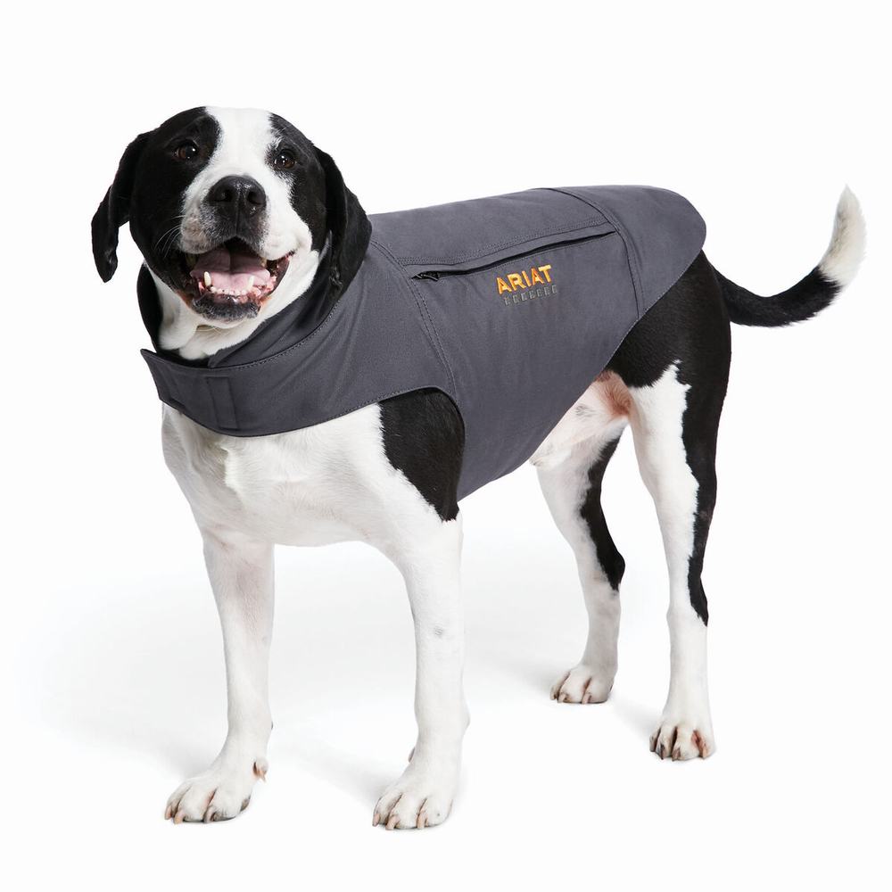 Men\'s Ariat Rebar DuraCanvas Insulated Dog Accessories Grey | FAGH-95134