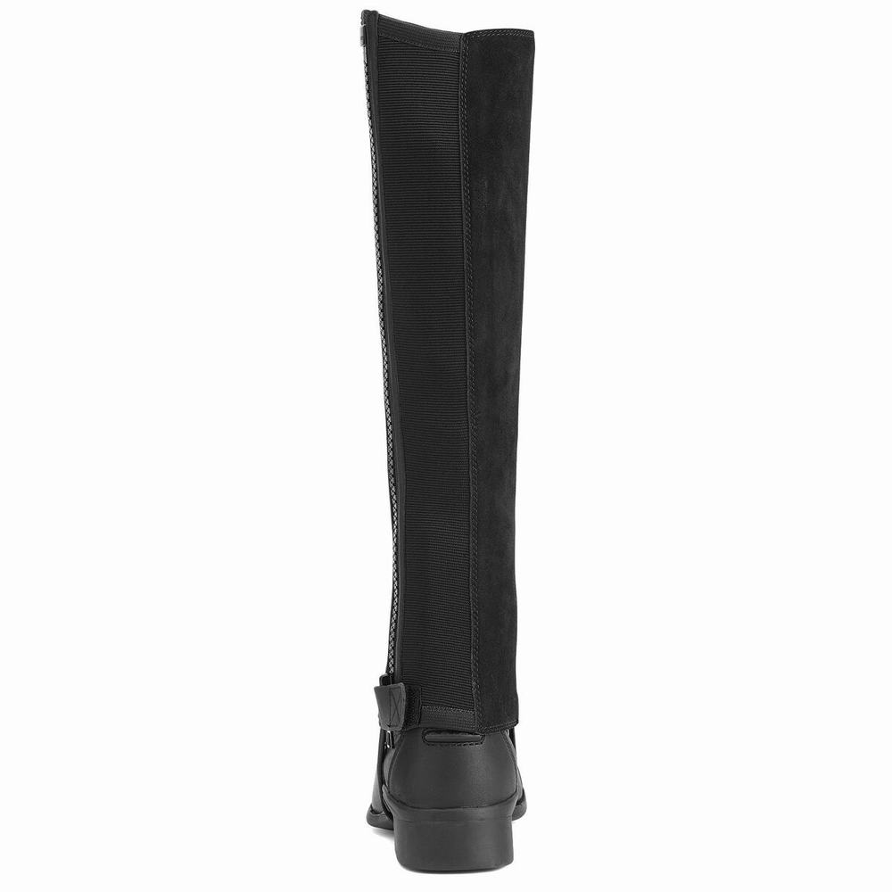 Men's Ariat Scout Chap Half Chap Riding Boots Black | AWVD-79512