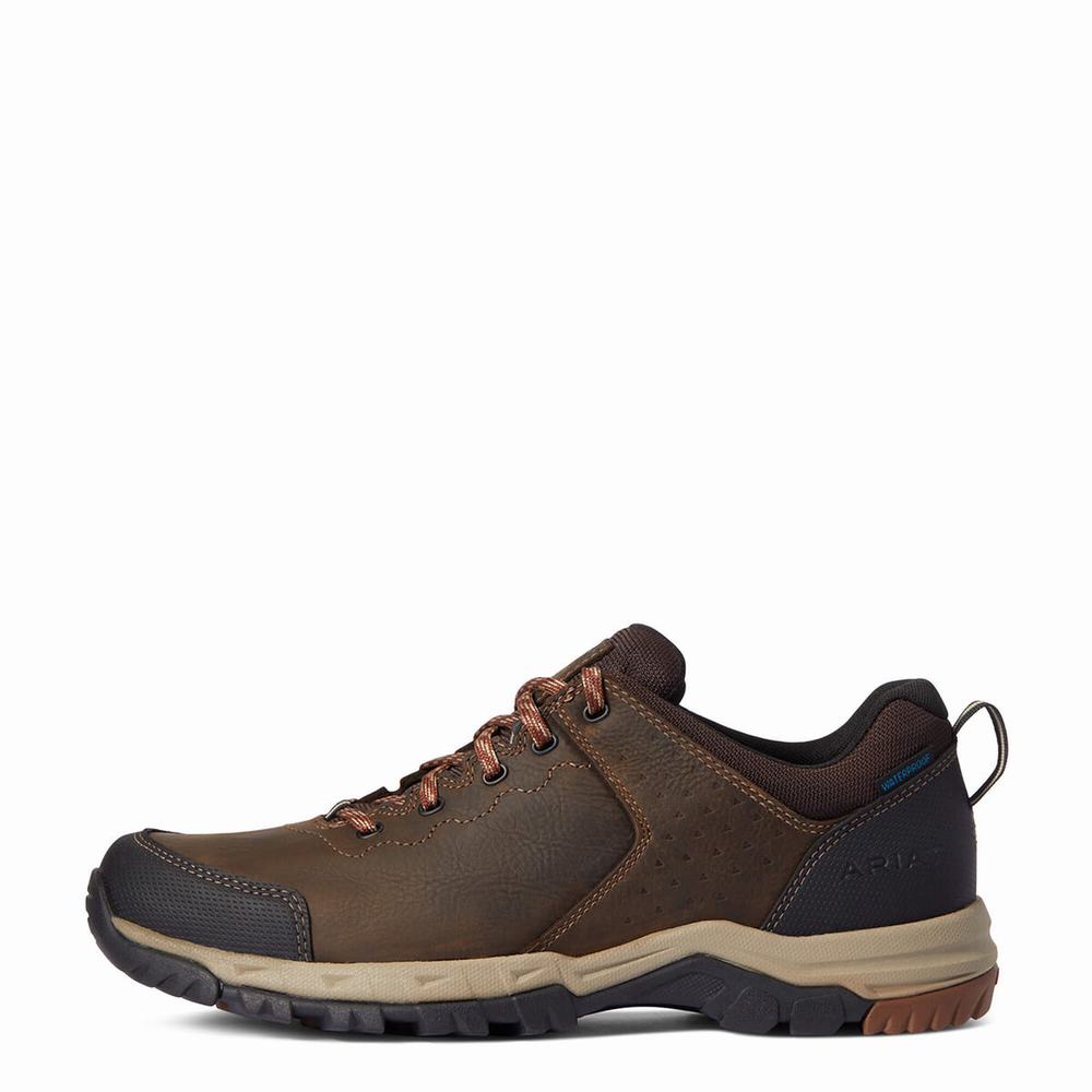 Men's Ariat Skyline Low Waterproof Hiking Boots Brown | ZVMT-40273