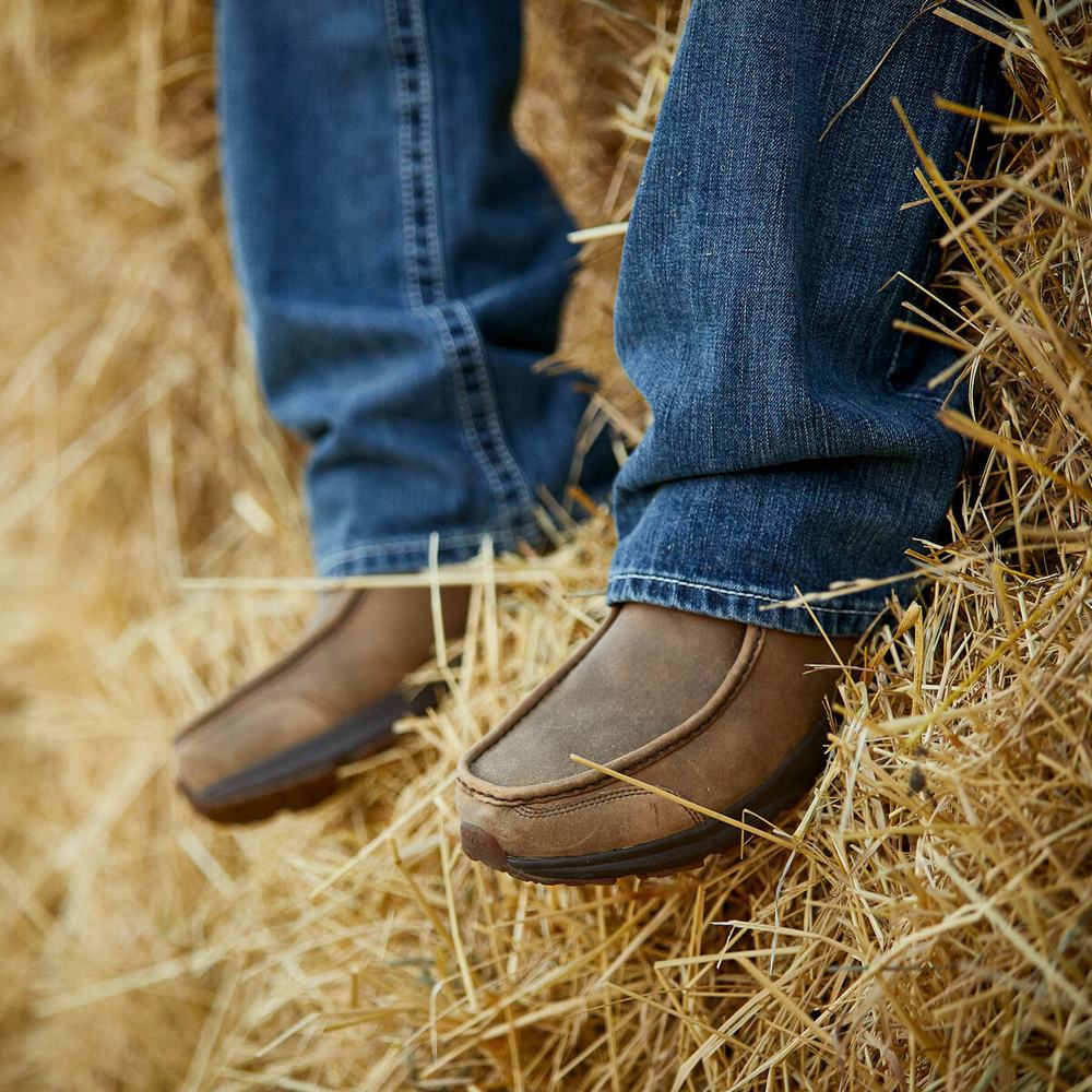 Men's Ariat Spitfire Sneakers Brown | DSCL-48506