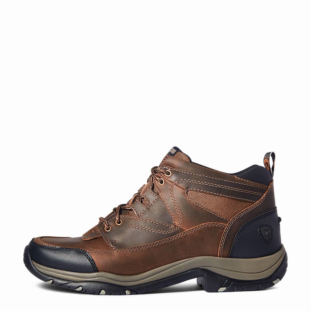 Men's Ariat Terrain Hiking Boots Brown | SVEB-48091