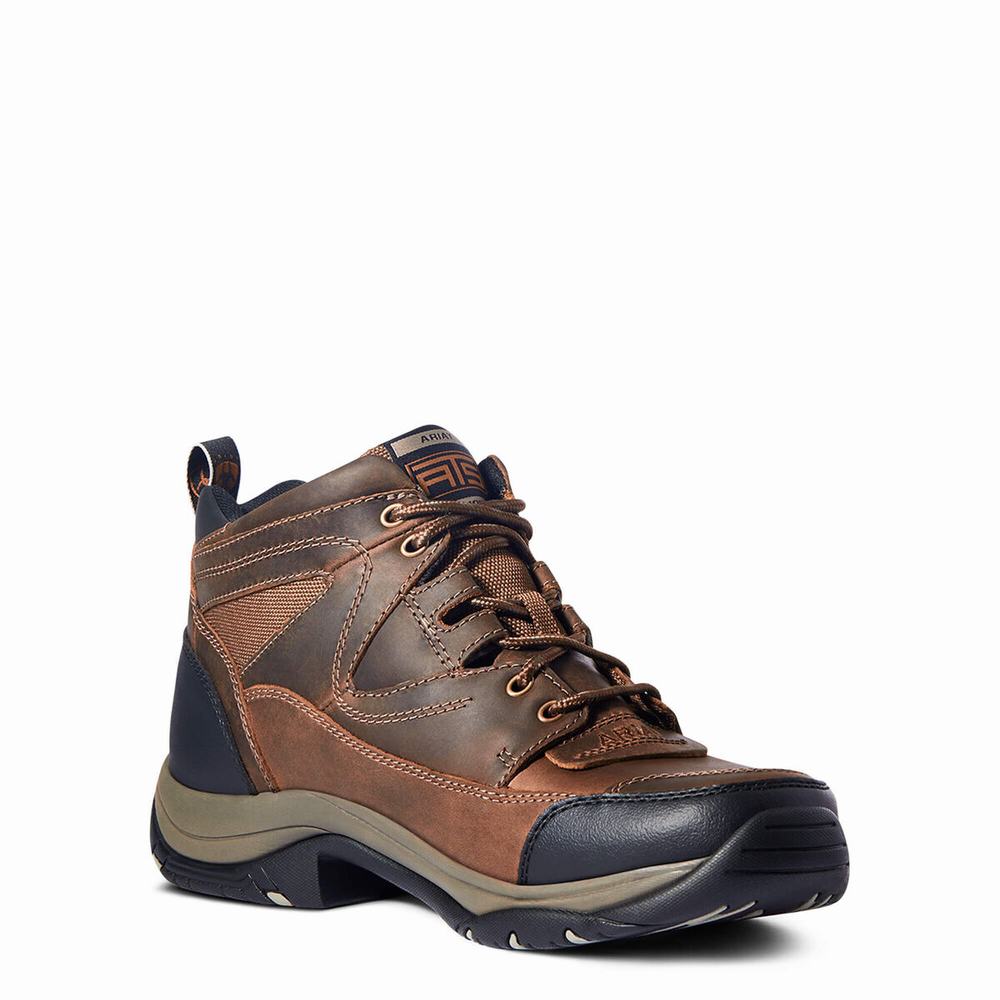 Men's Ariat Terrain Hiking Boots Brown | SVEB-48091