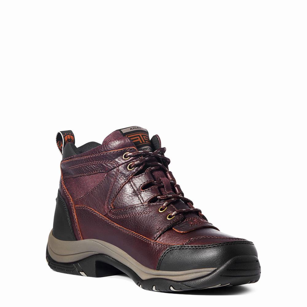 Men's Ariat Terrain Hiking Boots Dark Brown | FCQR-41985