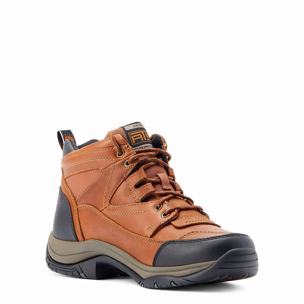 Men's Ariat Terrain Hiking Boots Multicolor | QRPS-93506