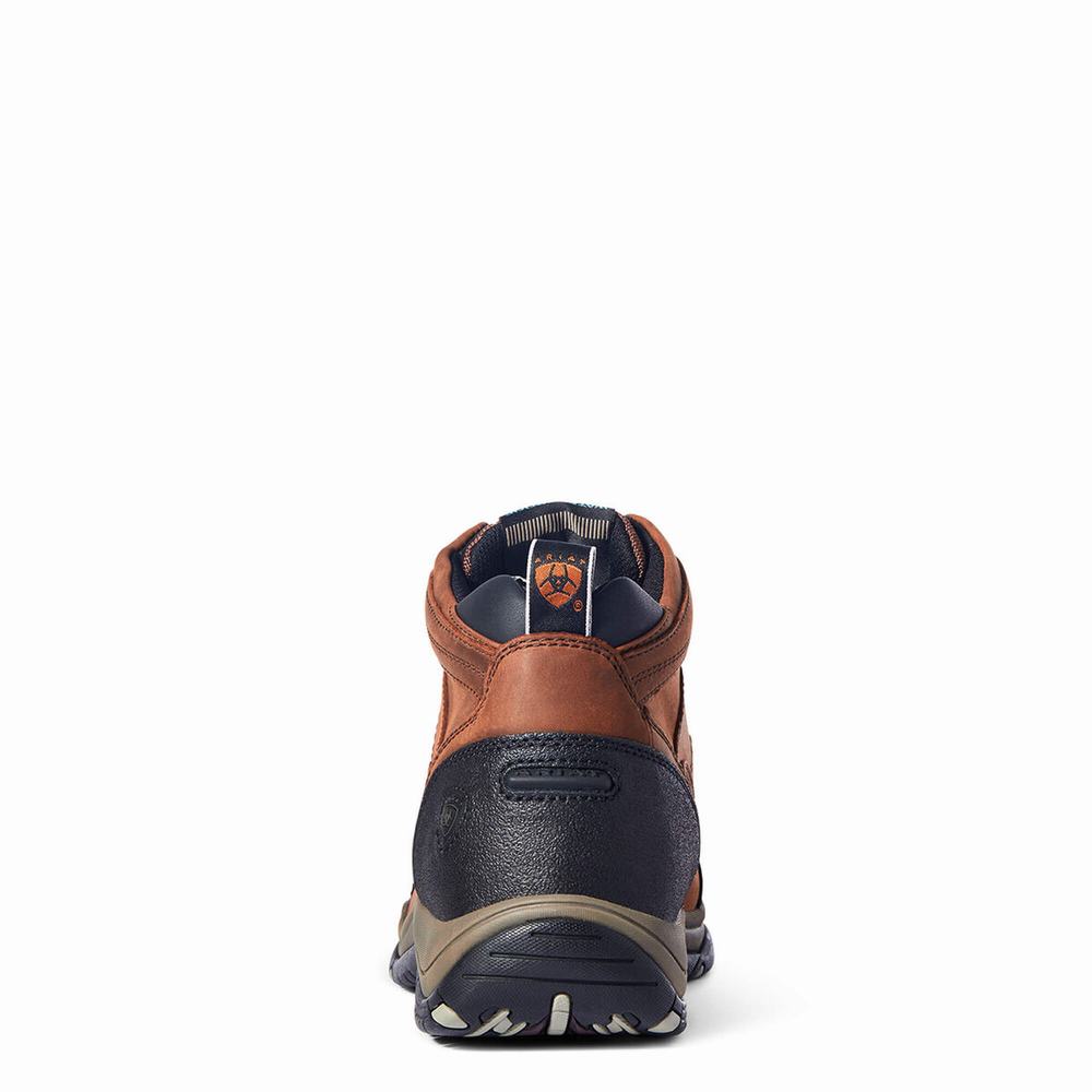 Men's Ariat Terrain Waterproof Riding Boots Copper | SNYT-07841