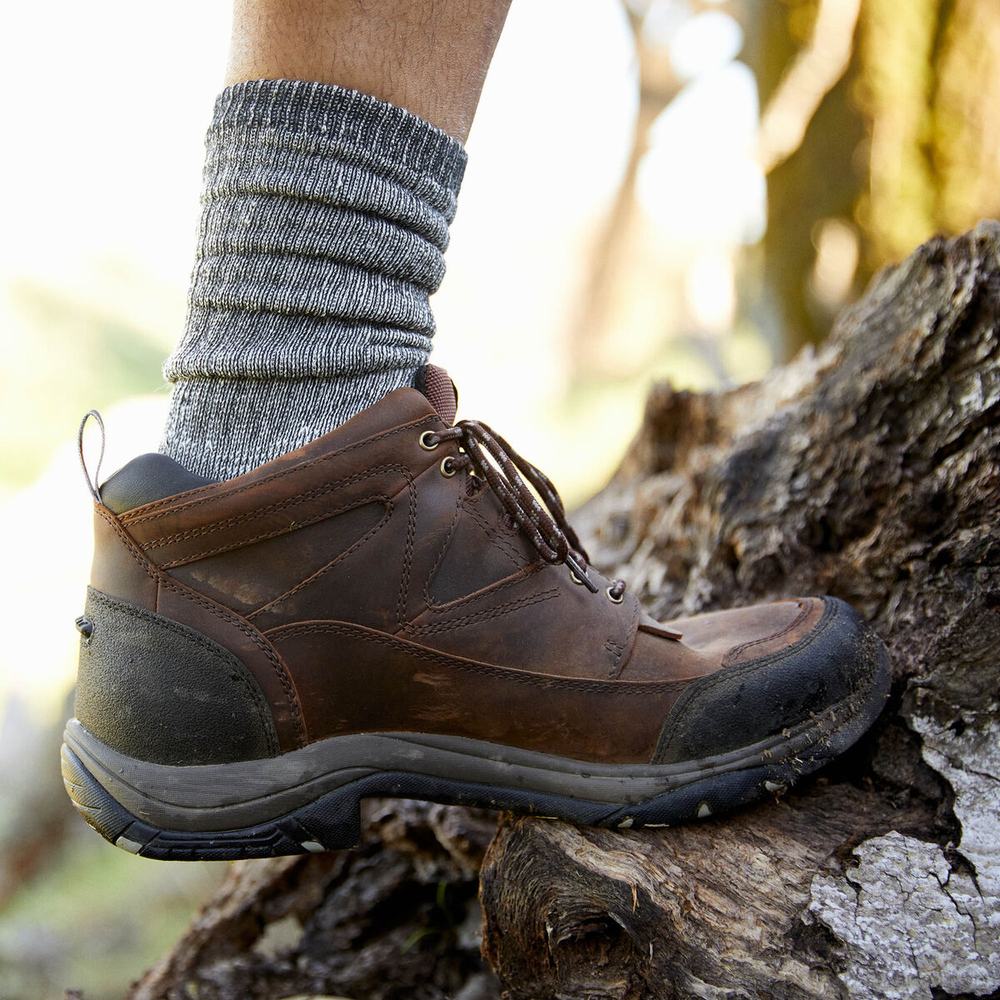 Men's Ariat Terrain Waterproof Riding Boots Copper | SNYT-07841