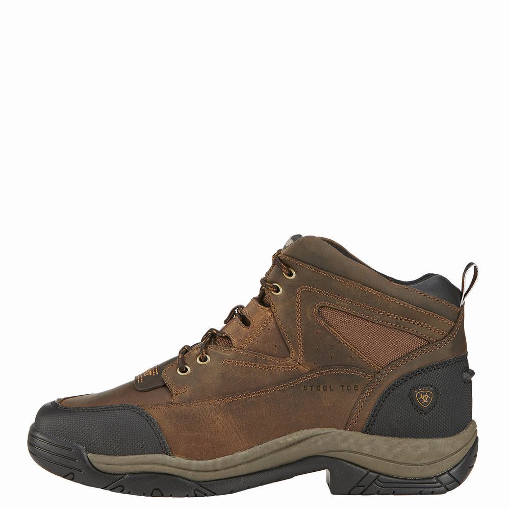 Men's Ariat Terrain Wide Square Toe Steel Toe Hiking Boots Brown | OMAF-56821