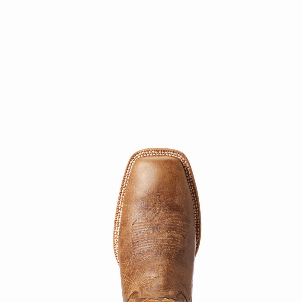 Men's Ariat Toledo Western Boots Beige | PZNT-80732