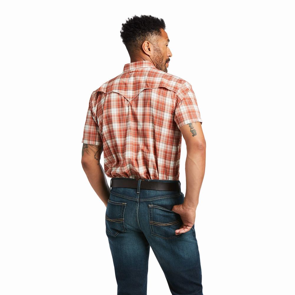 Men's Ariat VentTEK Fitted Shirts Multicolor | YDJQ-89251