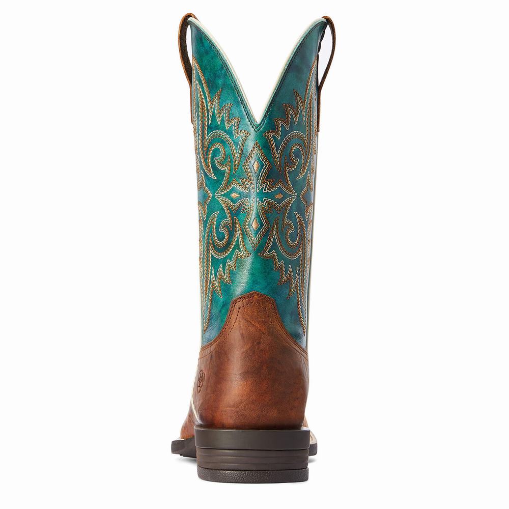 Men's Ariat Wild Thang Western Boots Brown | UIDM-13962