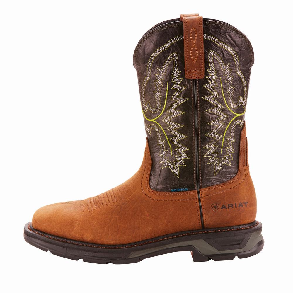 Men's Ariat WorkHog XT Waterproof Waterproof Boots Multicolor | LINR-26584