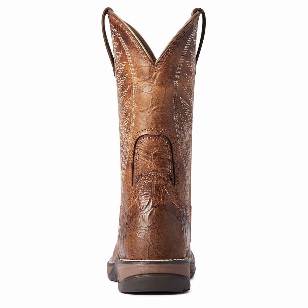 Women's Ariat Anthem 2.0 Western Boots Multicolor | UOTL-05417