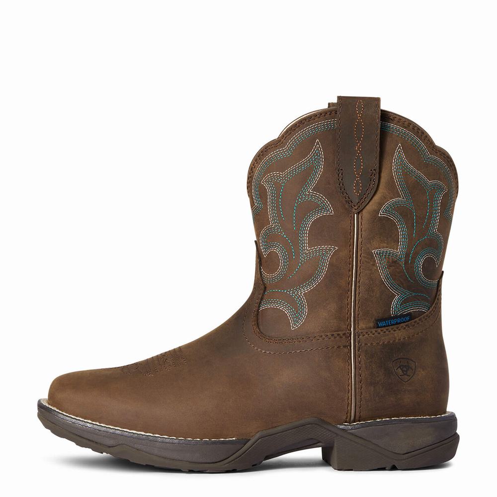 Women's Ariat Anthem II Waterproof Waterproof Boots Brown | EUFL-48516