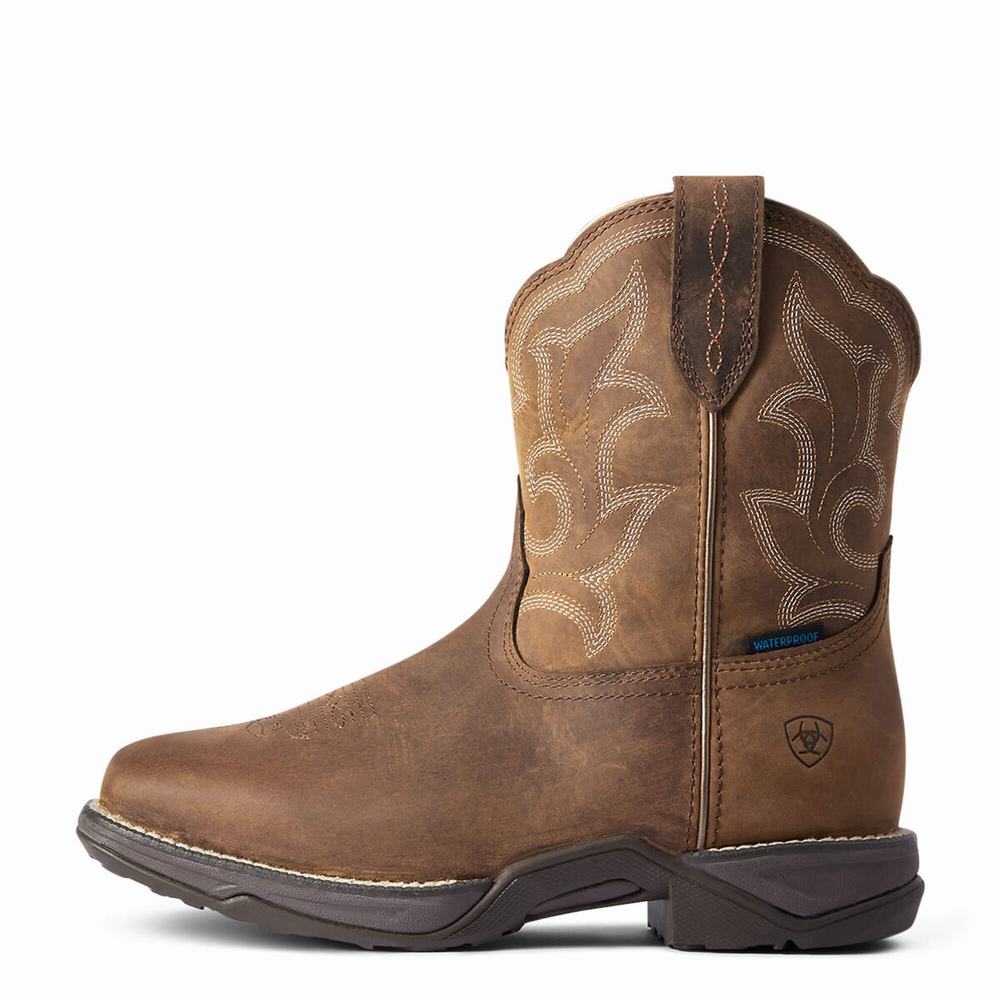 Women's Ariat Anthem II Waterproof Waterproof Boots Brown | QMAB-27053