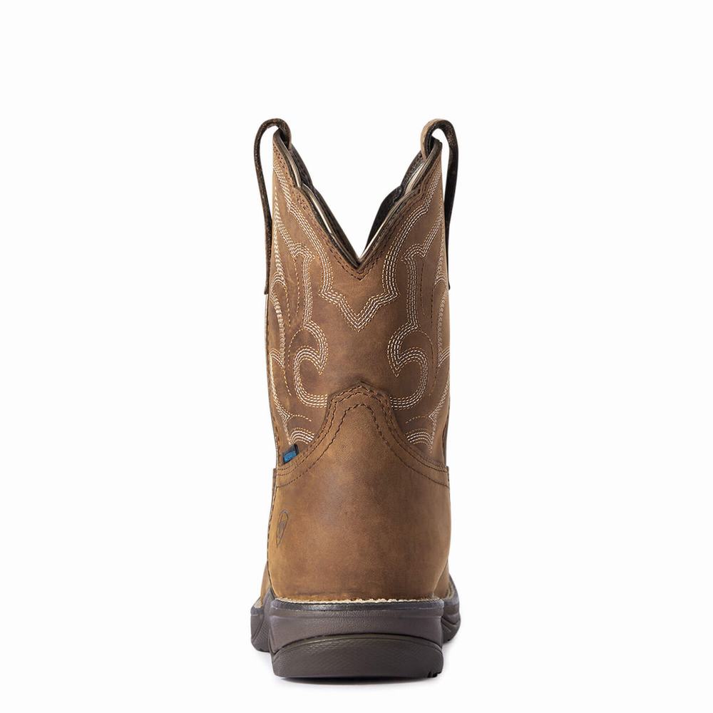 Women's Ariat Anthem II Waterproof Waterproof Boots Brown | QMAB-27053