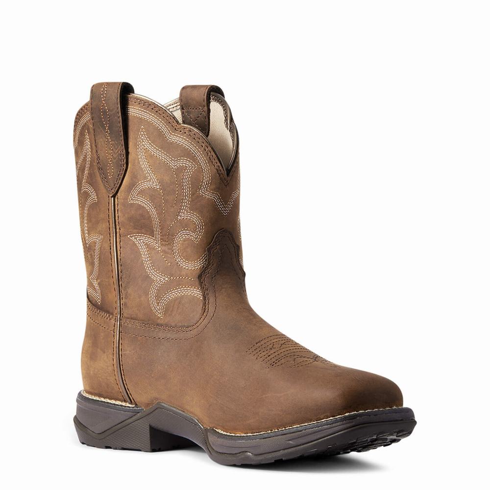 Women's Ariat Anthem II Waterproof Waterproof Boots Brown | QMAB-27053