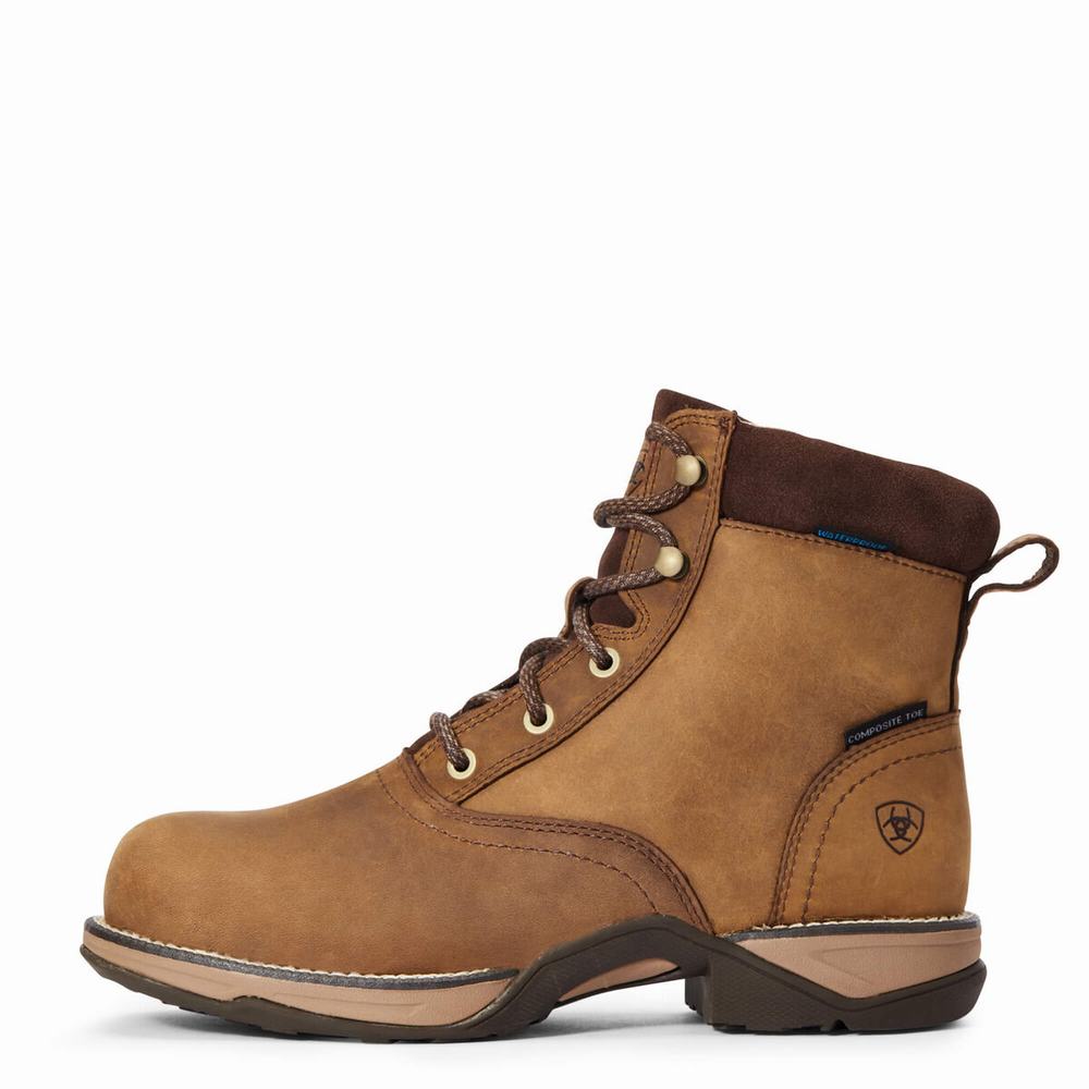 Women's Ariat Anthem Round Toe Lacer Waterproof Composite Toe Work Boots Brown | AHCS-91453