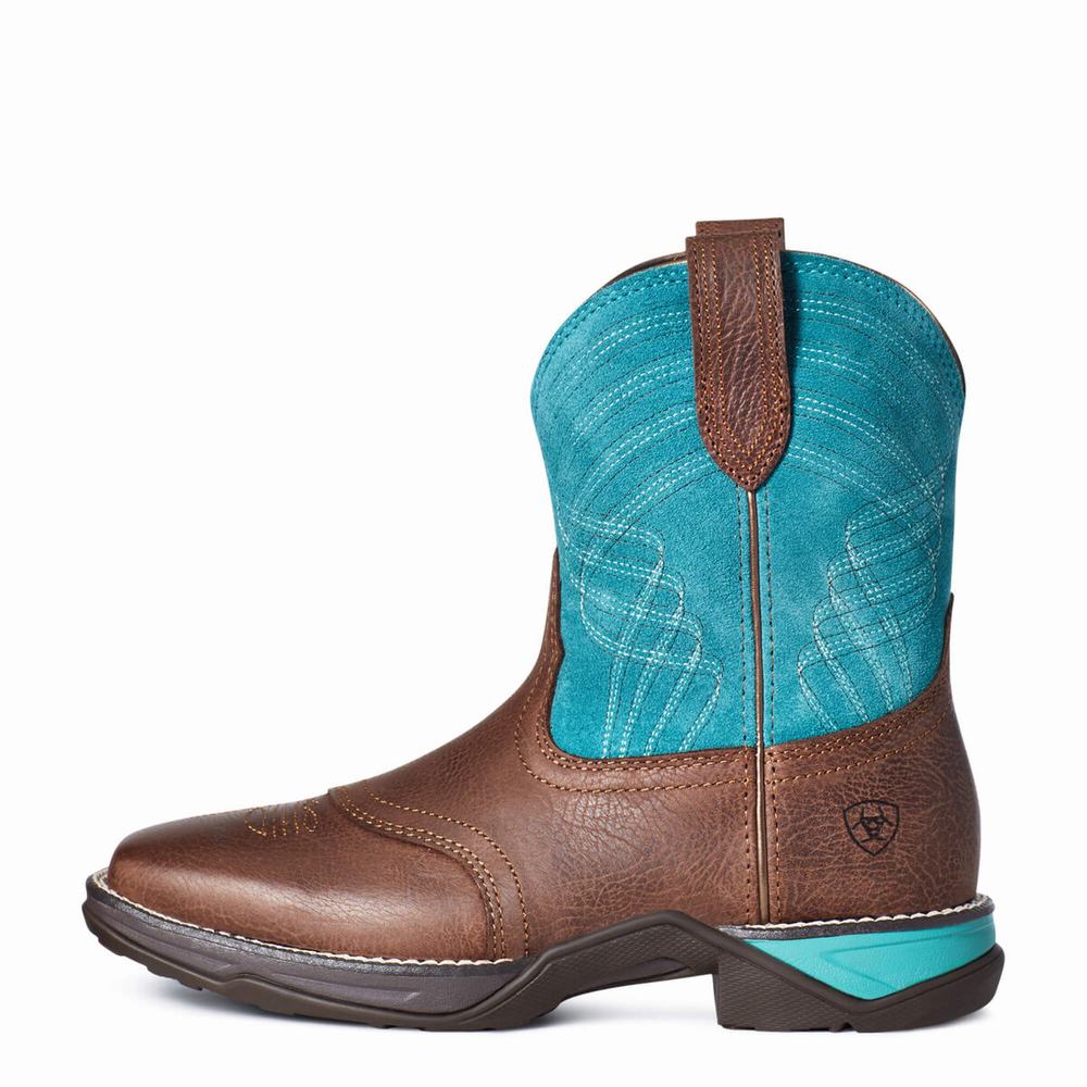 Women's Ariat Anthem Western Boots Multicolor | MCKP-37815