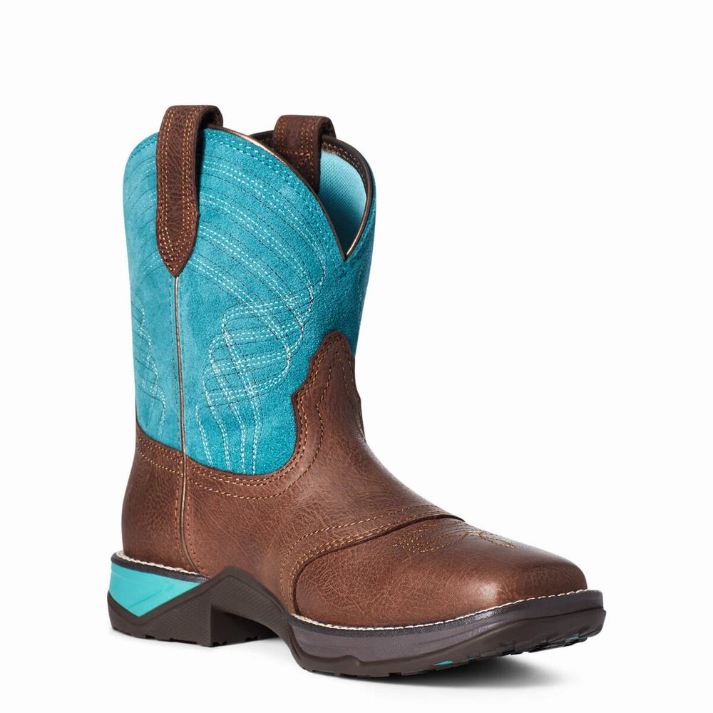 Women's Ariat Anthem Western Boots Multicolor | MCKP-37815