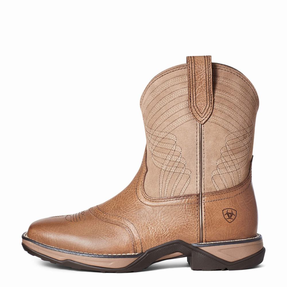 Women's Ariat Anthem Western Boots Multicolor | RTPV-23541