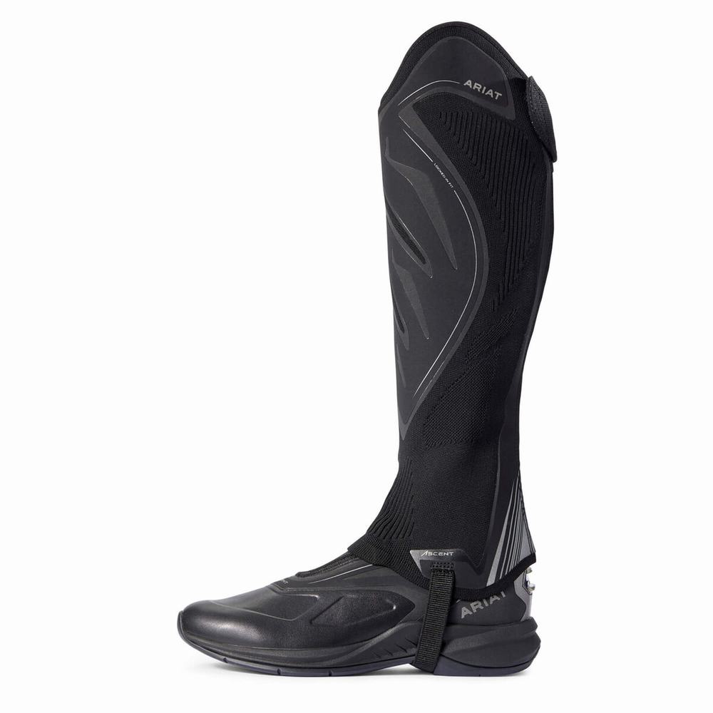 Women's Ariat Ascent Half Chap Riding Boots Black | XCRS-87063