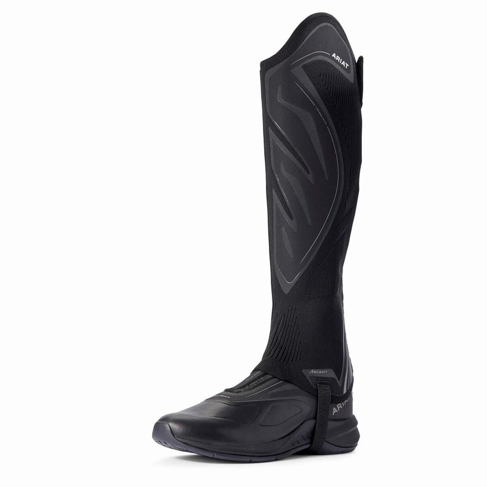 Women's Ariat Ascent Half Chap Riding Boots Black | XCRS-87063