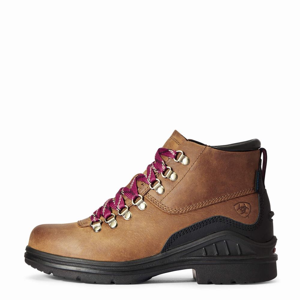 Women's Ariat Barnyard Lace Waterproof Hiking Boots Brown | EGOA-06273