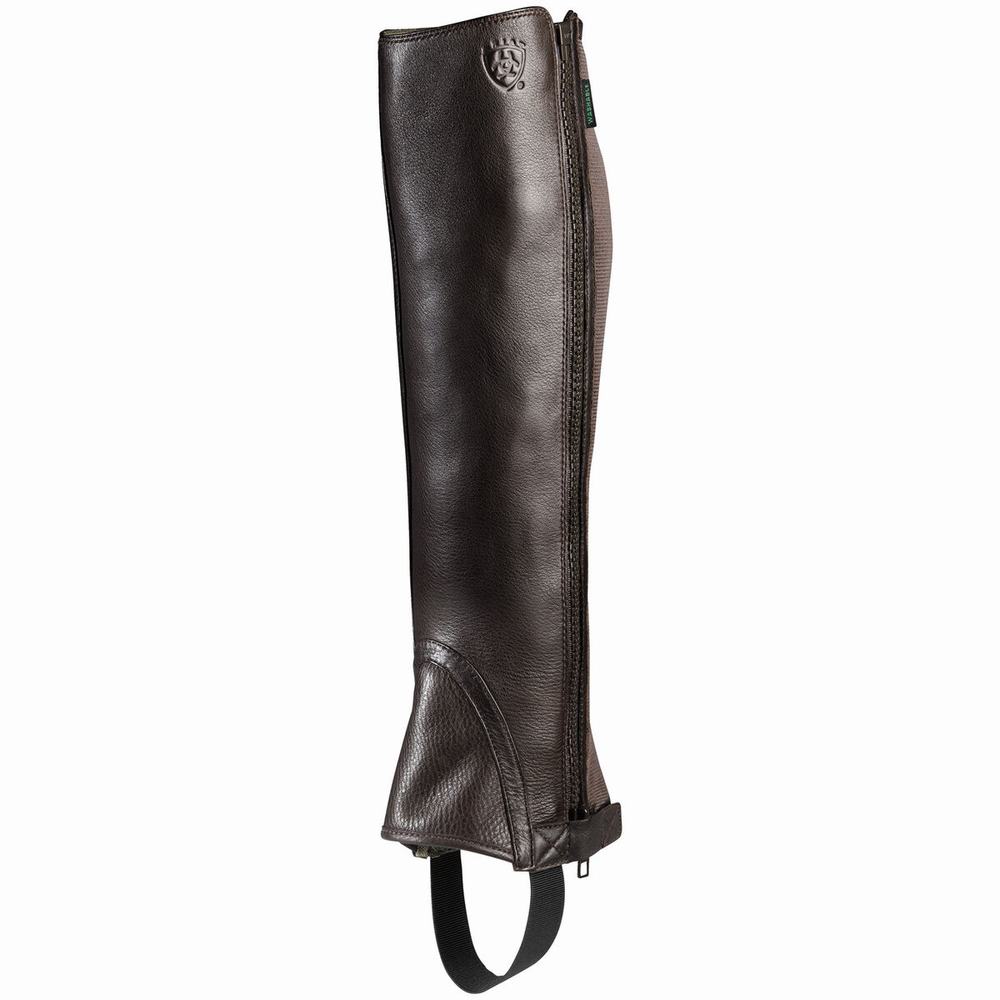 Women\'s Ariat Breeze Chap Half Chap Riding Boots Chocolate | UDMB-82540