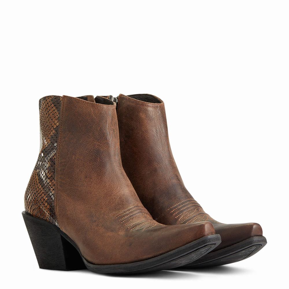 Women's Ariat Carmelita Booties Brown | QWFZ-58210