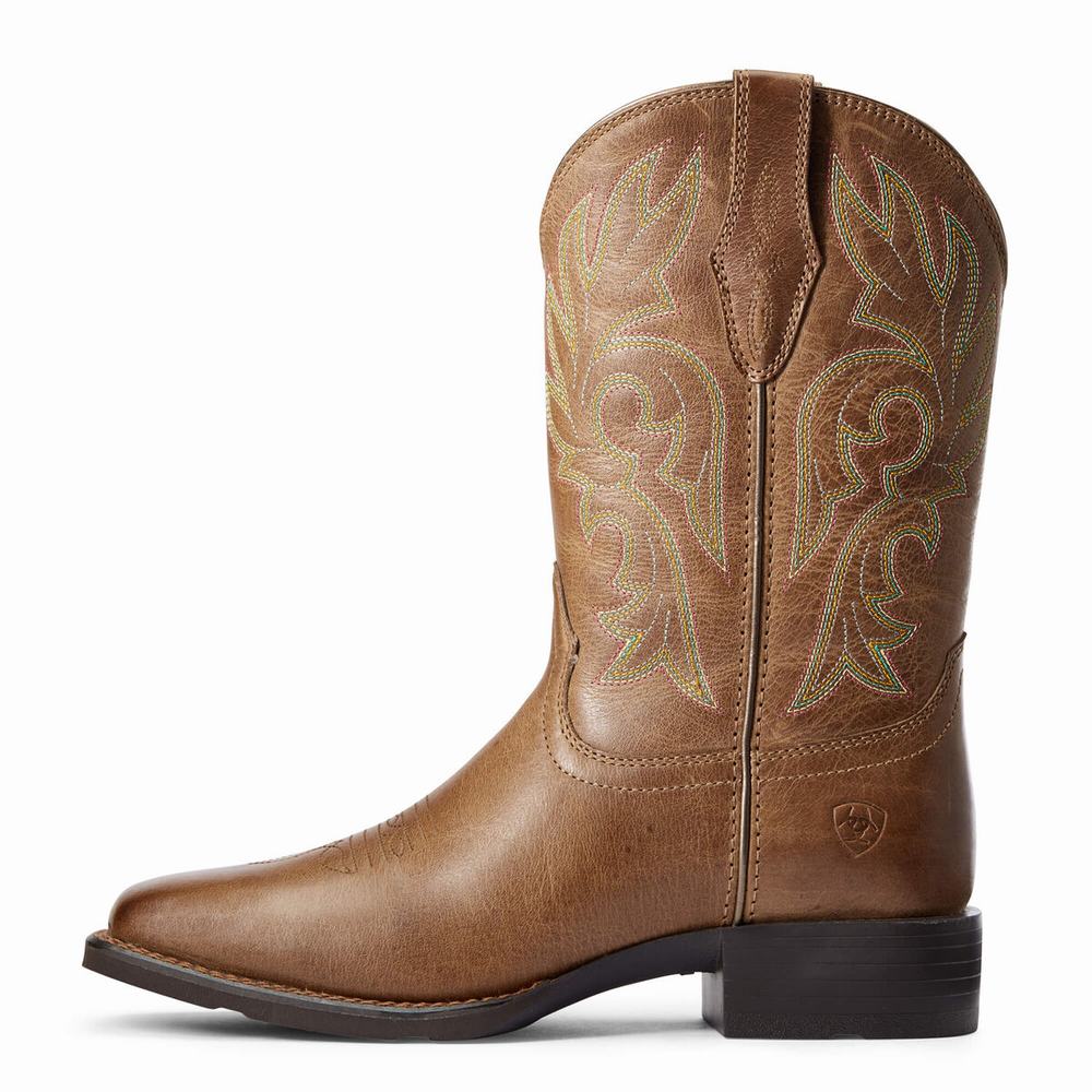 Women's Ariat Cattle Drive Western Boots Brown | ZFKJ-56092