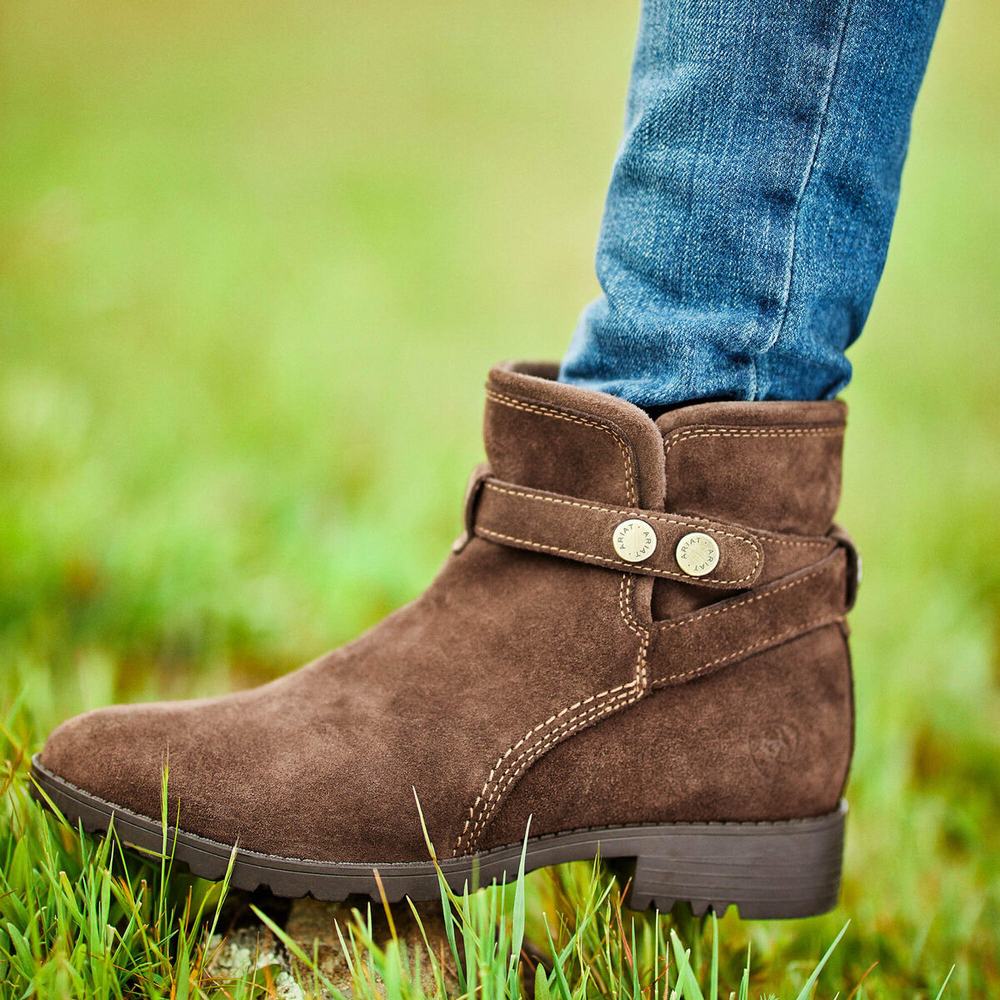 Women's Ariat Charlie Waterproof Waterproof Boots Chocolate | OQSL-29145