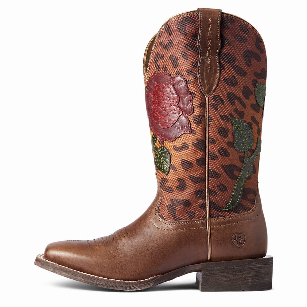 Women's Ariat Circuit Rosa Dress Boots Multicolor | BSMT-16098