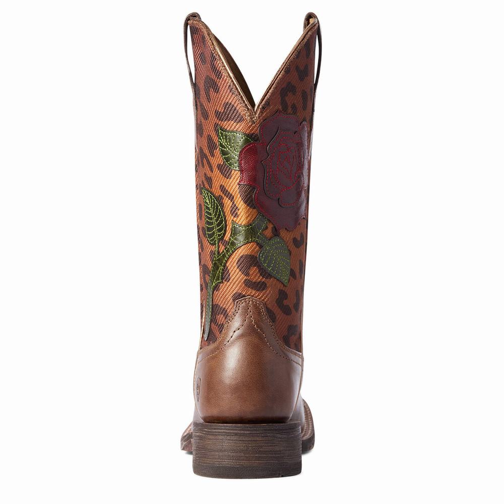 Women's Ariat Circuit Rosa Dress Boots Multicolor | BSMT-16098