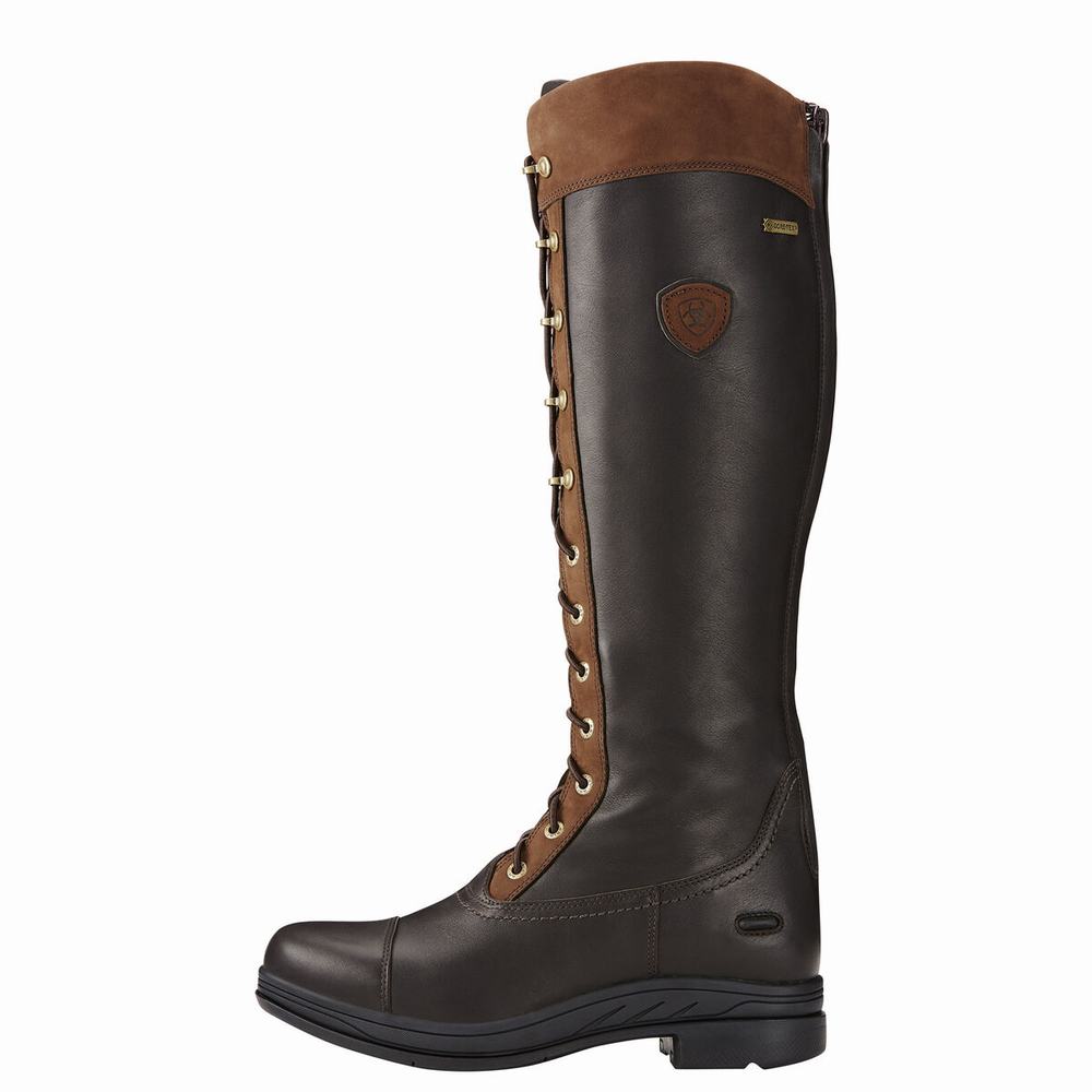 Women's Ariat Coniston Pro GORE-TEX Insulated Riding Boots Multicolor | DFLK-16298