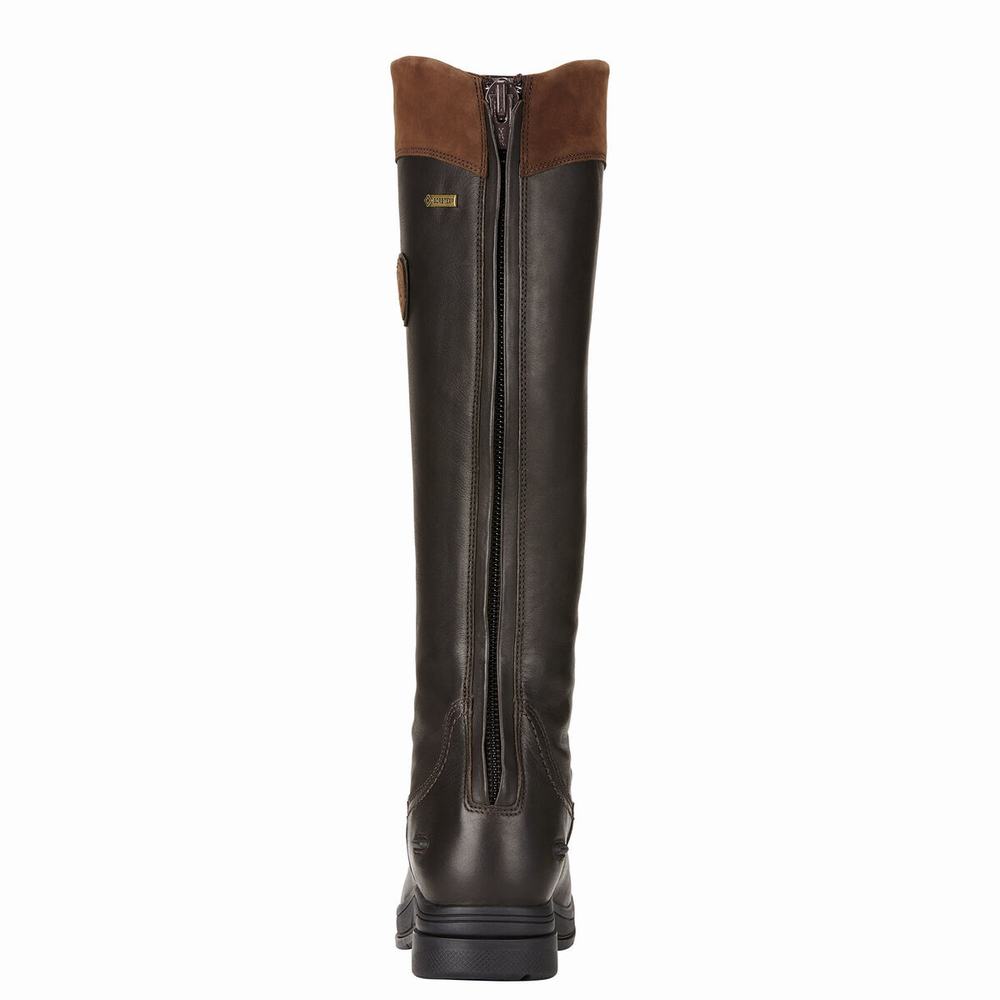 Women's Ariat Coniston Pro GORE-TEX Insulated Riding Boots Multicolor | DFLK-16298