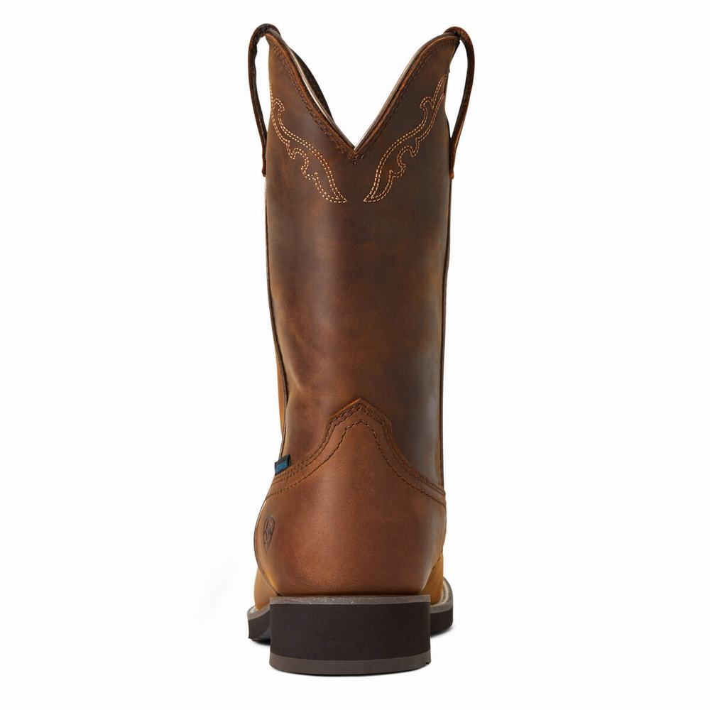 Women's Ariat Delilah Round Toe Waterproof Western Boots Brown | OPDK-68270