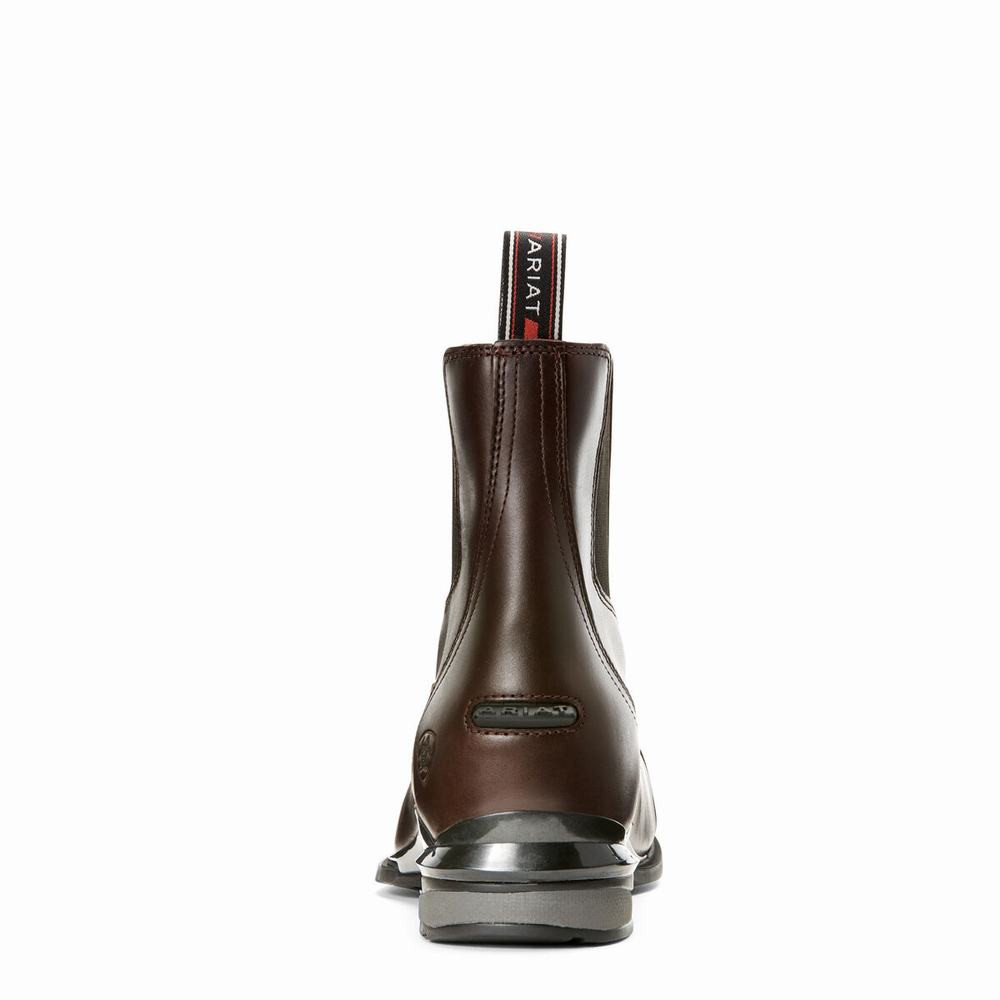 Women's Ariat Devon Nitro Paddock Riding Boots Chocolate | JQXD-27510