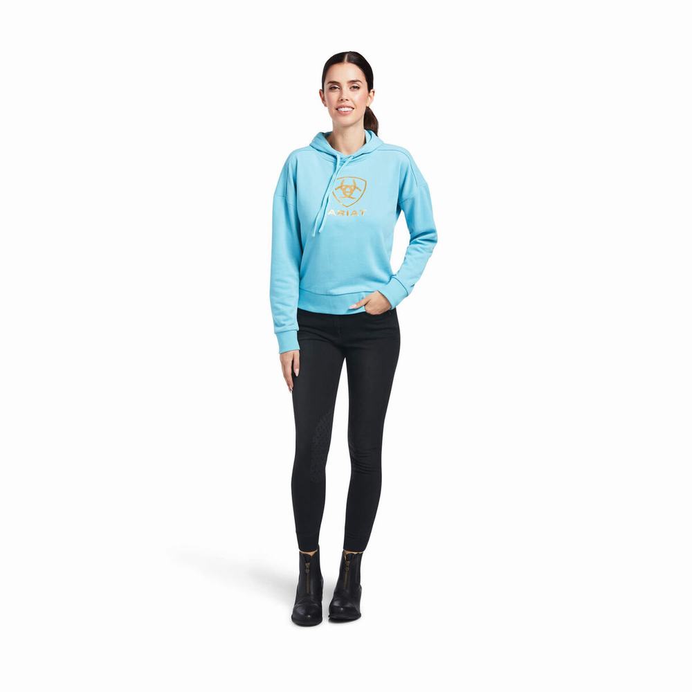 Women's Ariat Just Hoodie Blue | WEMF-39618