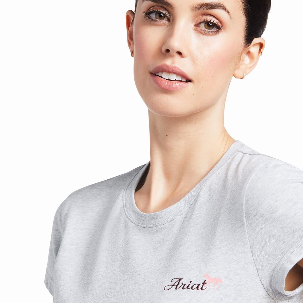 Women's Ariat Logo Script Tops Grey | UMSX-19854