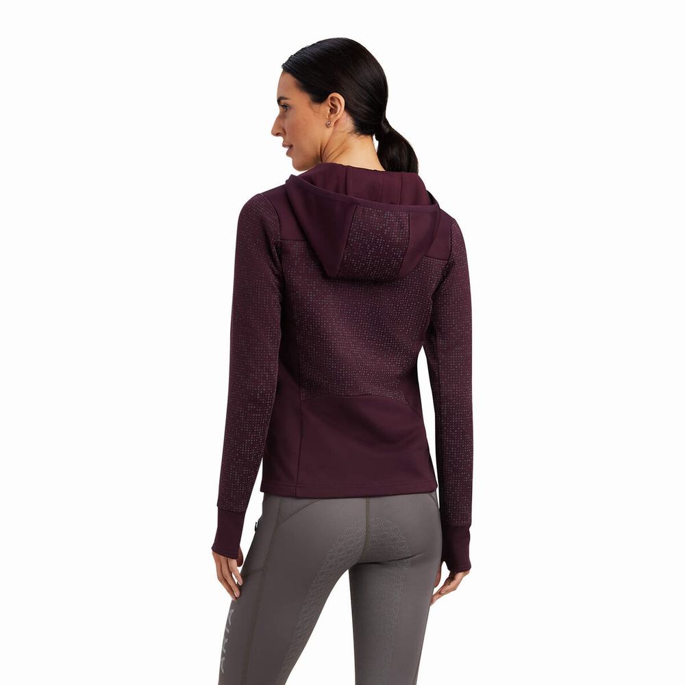 Women's Ariat Lumina Full Zip Hoodie Multicolor | WVGO-23689